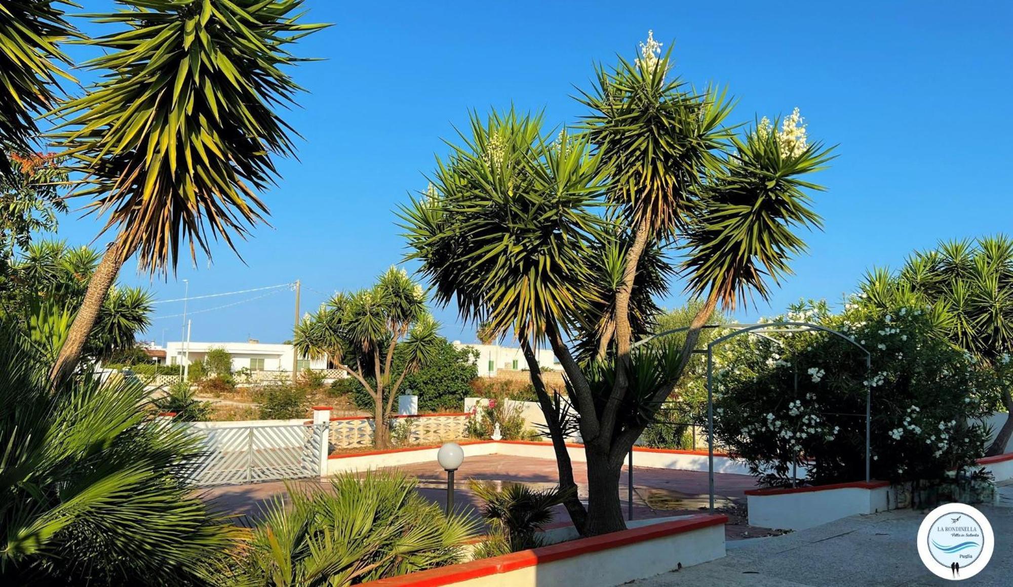 Villa La Rondinella - Torre San Giovanni Ngoại thất bức ảnh